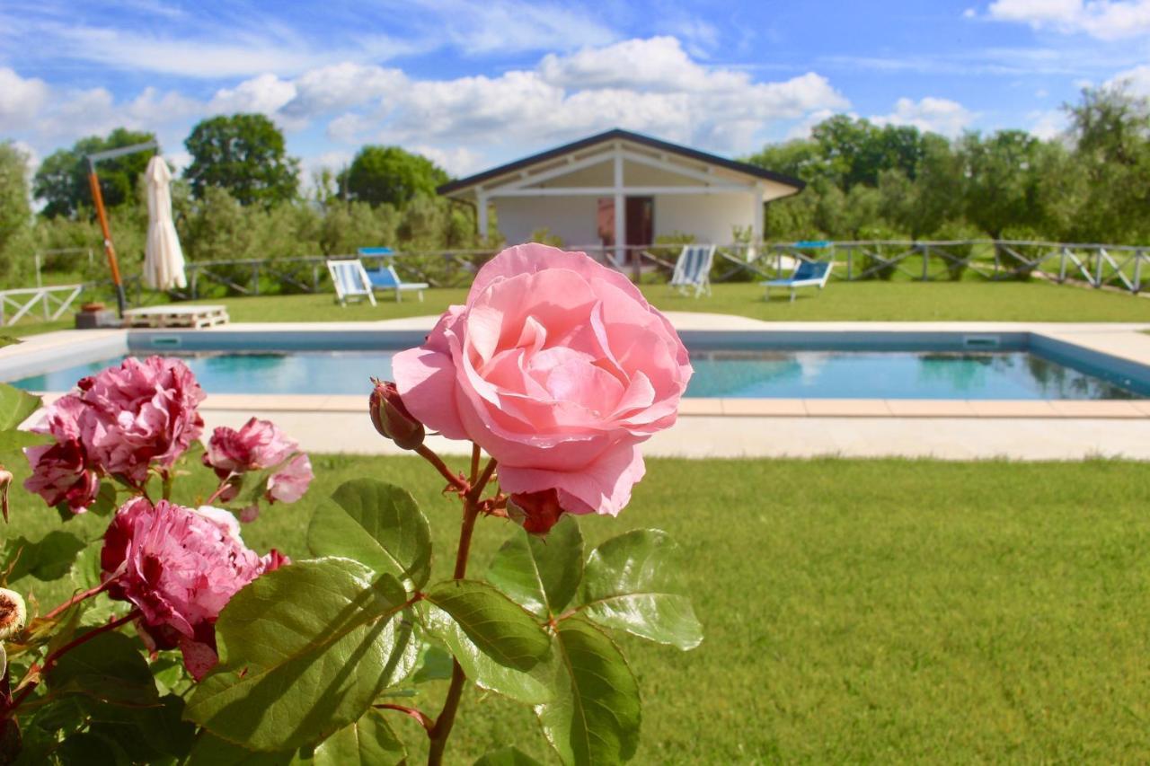 Agriturismo Re Di Fiori Donoratico Exterior photo